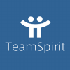 Team Spirit